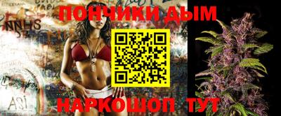 крисы Беслан