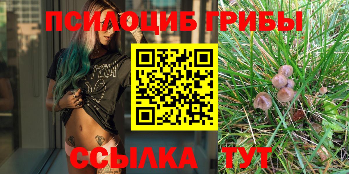 Кинель  Псилоцибиновые грибы Cubensis  Вход с VPN  Псилоцибиновые грибы MAGIC MUSHROOMS 